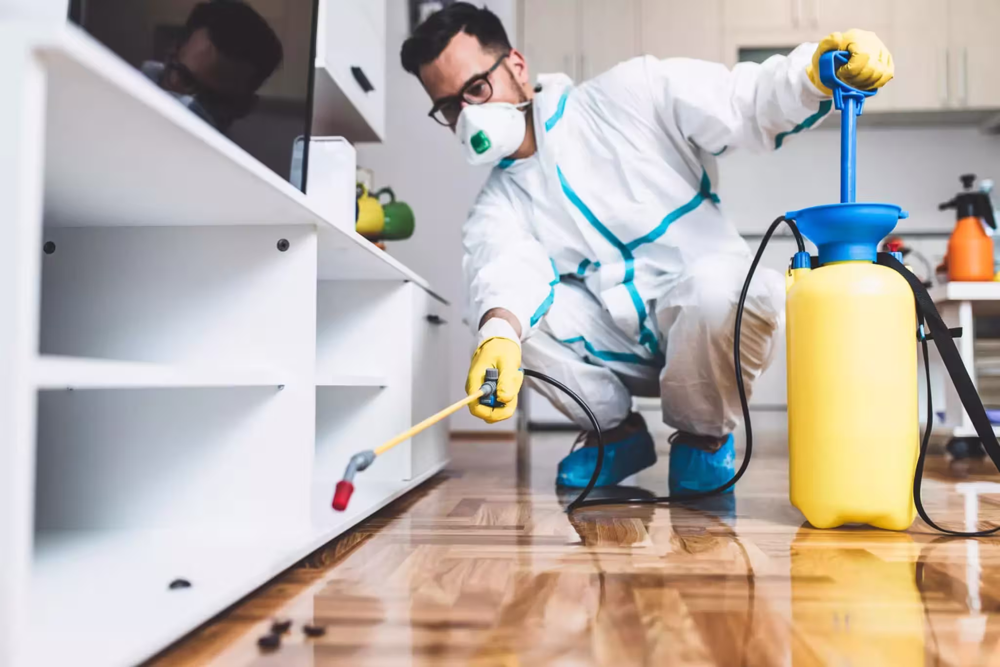 Professional pest control services by Perfect Solution Contracting